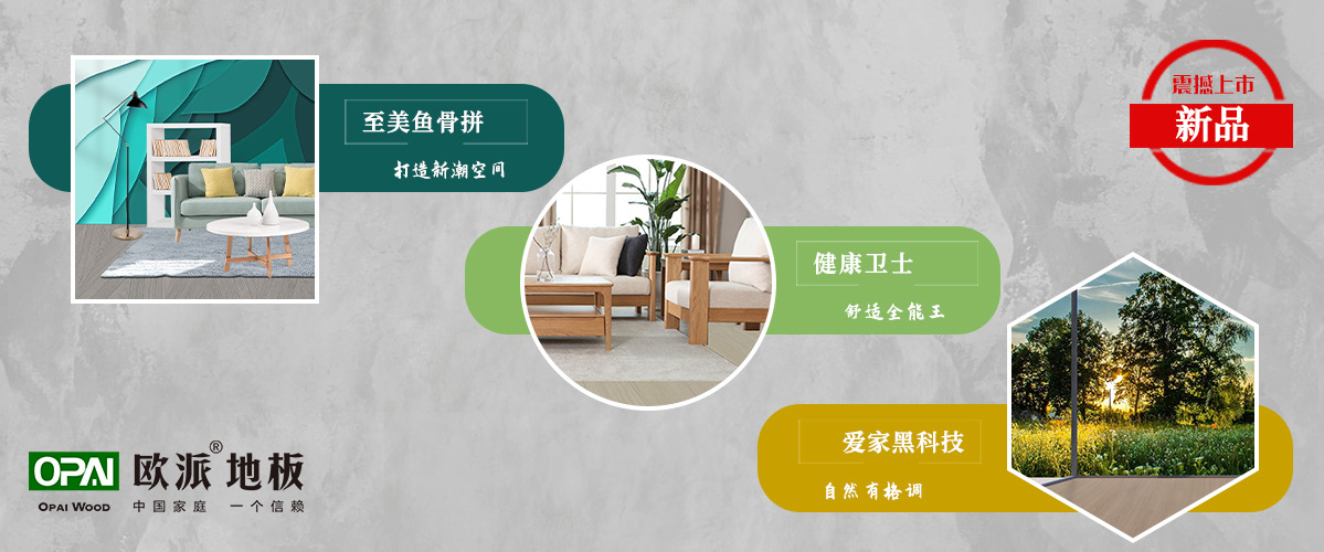 年終盛惠 強(qiáng)化地板新品